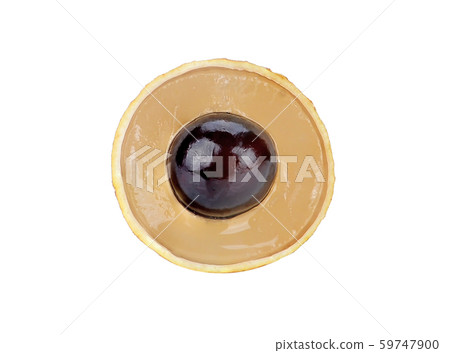 longan isolated on white background 59747900