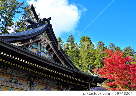 Myogi神社在秋天 59748204