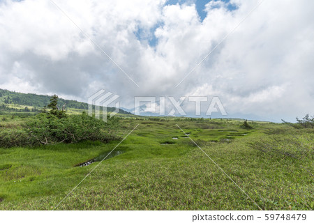 Maidasugahara泥潭 59748479