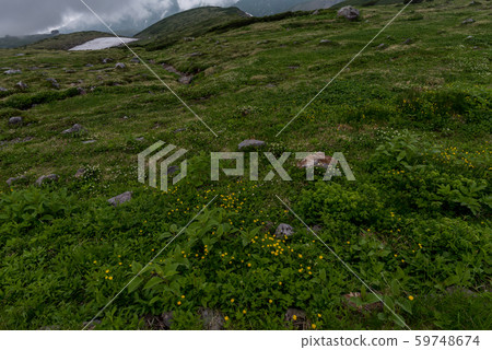 從館山室堂觀光，遠足和登山 59748674