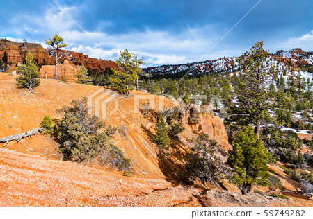 View of the Red Canyon in Utah, the USA 59749282