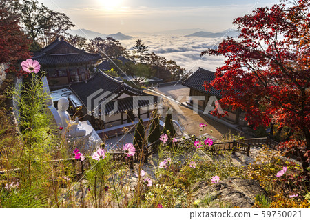 早上在山腰 59750021