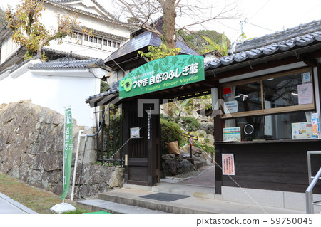 岡山縣津山市的“津山自然奧秘博物館” 59750045
