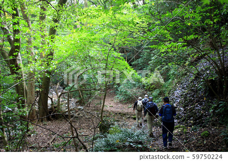 從龍門峽山入口到山頂（Tendoiwa）的爬山路線的視圖 59750224