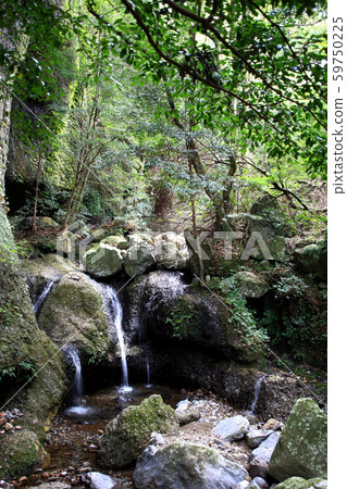 從龍門峽山入口到山頂（Tendoiwa）的爬山路線的視圖 59750225