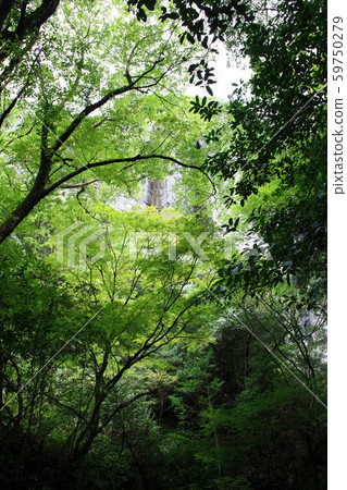 View of mountain climbing course from Ryumonkyo mountain entrance to the summit (Tendoiwa) 59750279