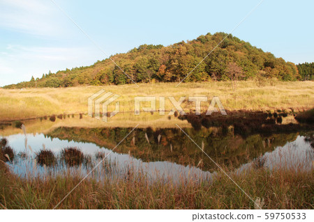 Susuki of Akine Peak Plateau Susuki of Akine Peak Plateau 59750533