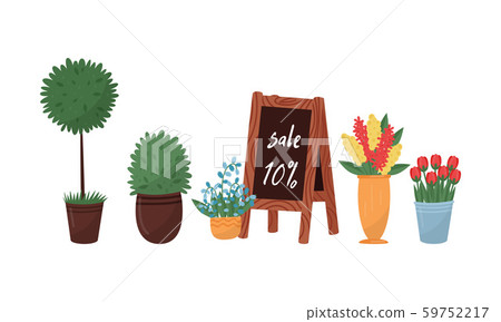 Various Flowers Growing in Pots Vector Set 59752217