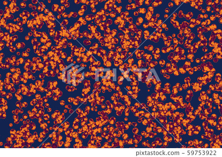 Shape of bacterial cell Shape of bacterial cell 59753922