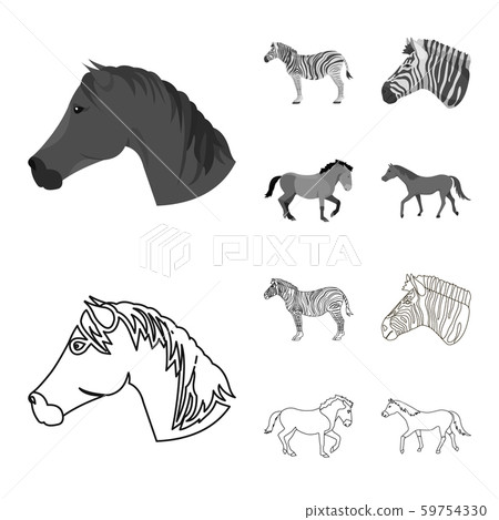 Vector illustration of trot and running sign. Collection of trot and clipart vector icon for stock. Vector illustration of trot and running sign. Collection of trot and clipart vector icon for stock. 59754330