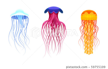Set of colorful jellyfish. Vector illustration on a white background. Set of colorful jellyfish. Vector illustration on a white background. 59755109