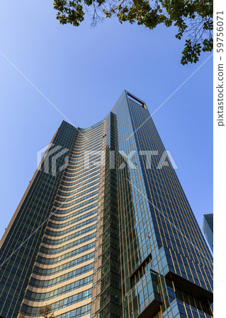 Seoul Forest 59756071