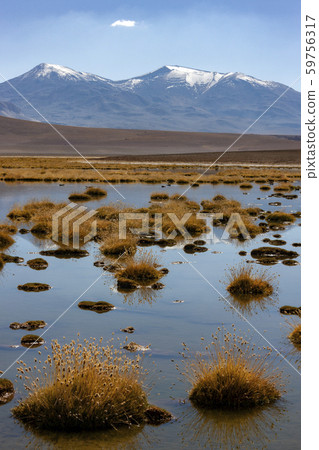 Small lagoon in the Atacama Desert - Chile 59756317