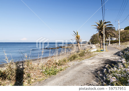 Spring sea Spring sea 59757951