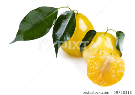 Yellow plum close up on white Yellow plum close up on white 59758318