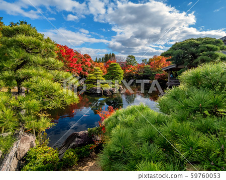 日本姬路城美麗的花園姬路城西園花園，Kokoen的秋葉姬路公園姬路城日本花園，花園樹盆景 59760053