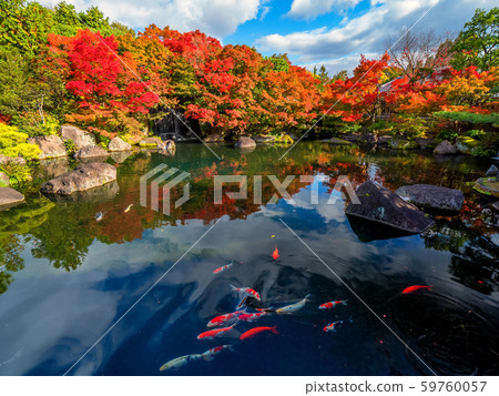 日本姬路城美麗的花園姬路城西園花園,Kokoen的秋葉姬路公園姬路城日本花園,花園樹盆景 日本姬路城美麗的花園姬路城西園花園,Kokoen的秋葉姬路公園姬路城日本花園,花園樹盆景 59760057