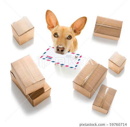 dog mail deliver postal post man dog mail deliver postal post man 59760714