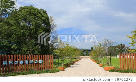 Tatsumi's Forest Ocean Park Tatsumi's Forest Ocean Park 59761272