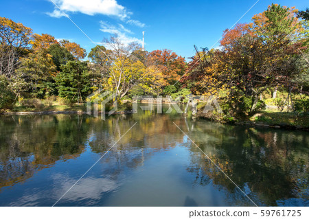 東京港區南麻布有棲川公園的秋葉 東京港區南麻布有棲川公園的秋葉 59761725
