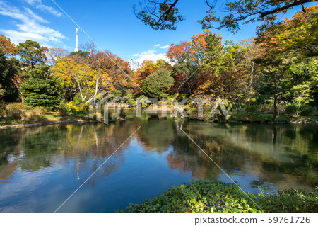 Arisugawanomiya Memorial Park and Autumn Leaves in Minato-ku, Tokyo 59761726