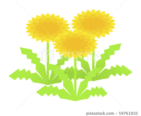  Dandelion 59761910