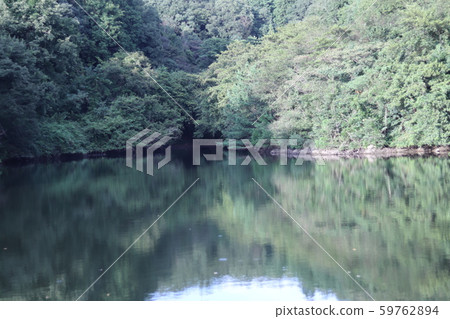 小池塘 小池塘 59762894