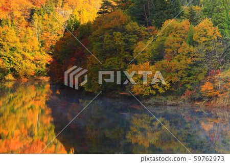 Nishiki lake in autumnal leaves in Nishi Waga-cho, Iwate Prefecture Nishiki lake in autumnal leaves in Nishi Waga-cho, Iwate Prefecture 59762973
