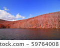 Autumn leaves of Iinoizuma 59764008