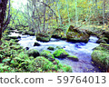 Oirase stream 59764013