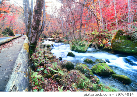 Oirase stream Oirase stream 59764014