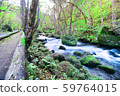 Oirase stream 59764015