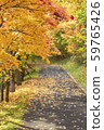 秋天的樹葉 59765426