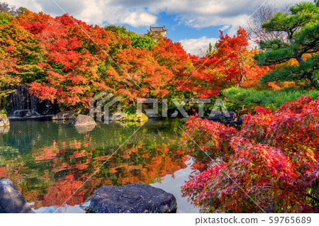 Beautiful garden in Japan Himeji Castle West Garden Garden, Kokoen's Autumn Leaves Himeji Park Japanese Garden in Himeji Castle, Garden Tree Bonsai 59765689