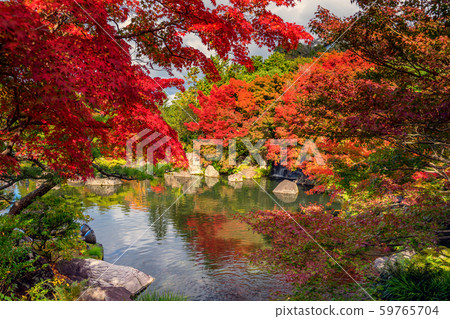 Beautiful garden in Japan Himeji Castle West Garden Garden, Kokoen's Autumn Leaves Himeji Park Japanese Garden in Himeji Castle, Garden Tree Bonsai 59765704