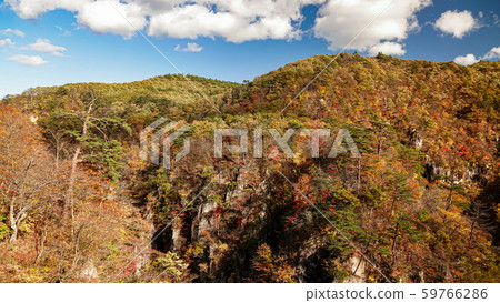 Naruko Gorge landscape in Miyagi,Japan.It is one of the Tohoku Region's most scenic gorges and one of most popular autumn color spots around late October to early November. 59766286