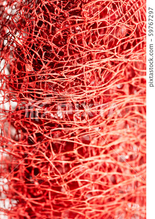 Red flower strange tropical blossom fruit macro background fifty megapixels 59767297