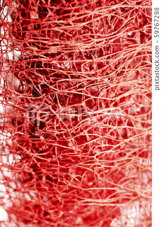 Red flower strange tropical blossom fruit macro background fifty megapixels 59767298