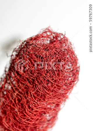 Red flower strange tropical blossom fruit macro background fifty megapixels 59767309
