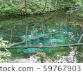 上帝的池塘 59767903