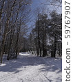 加拿大的冬天 59767907