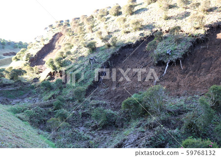 ■山中城堡■山ori（滑坡）■北條北條先生■小田原城堡城堡■靜岡縣三島市 59768132