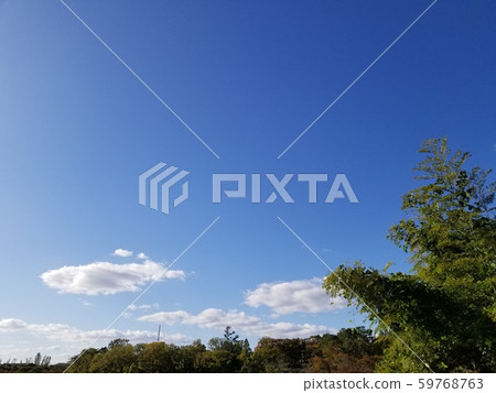 Sky colored leaves Sky colored leaves 59768763