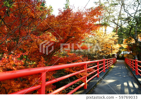 Autumn Yamamoto Fudoson 59769033