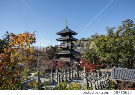 Hachijokosho-ji Temple 59770633