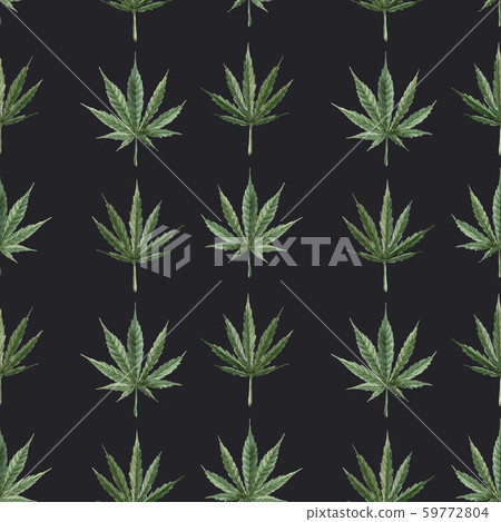 Beautiful watercolor medical marijuana seamless pattern. Natural therapeutic drug. 59772804
