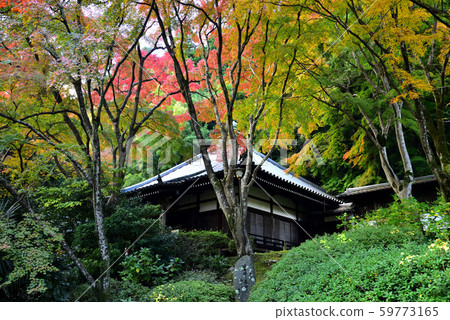 池田市寬吉主神社和秋葉 59773165
