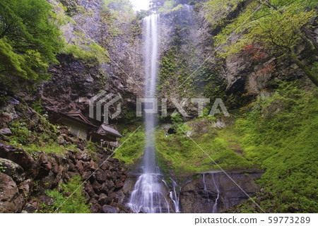 丹京神社（島根縣衝木郡）的丹京瀑布（Otaki） 59773289