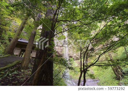 Dankyo Waterfall (Otaki) at Dankyo Shrine (Oki-gun, Shimane) 59773292