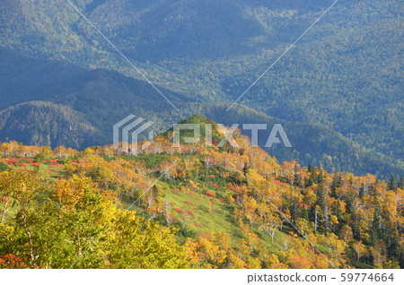 Autumn leaves of Ginsendai (Hokkaido, Kamikawa Town, Daisetsuzan) 59774664